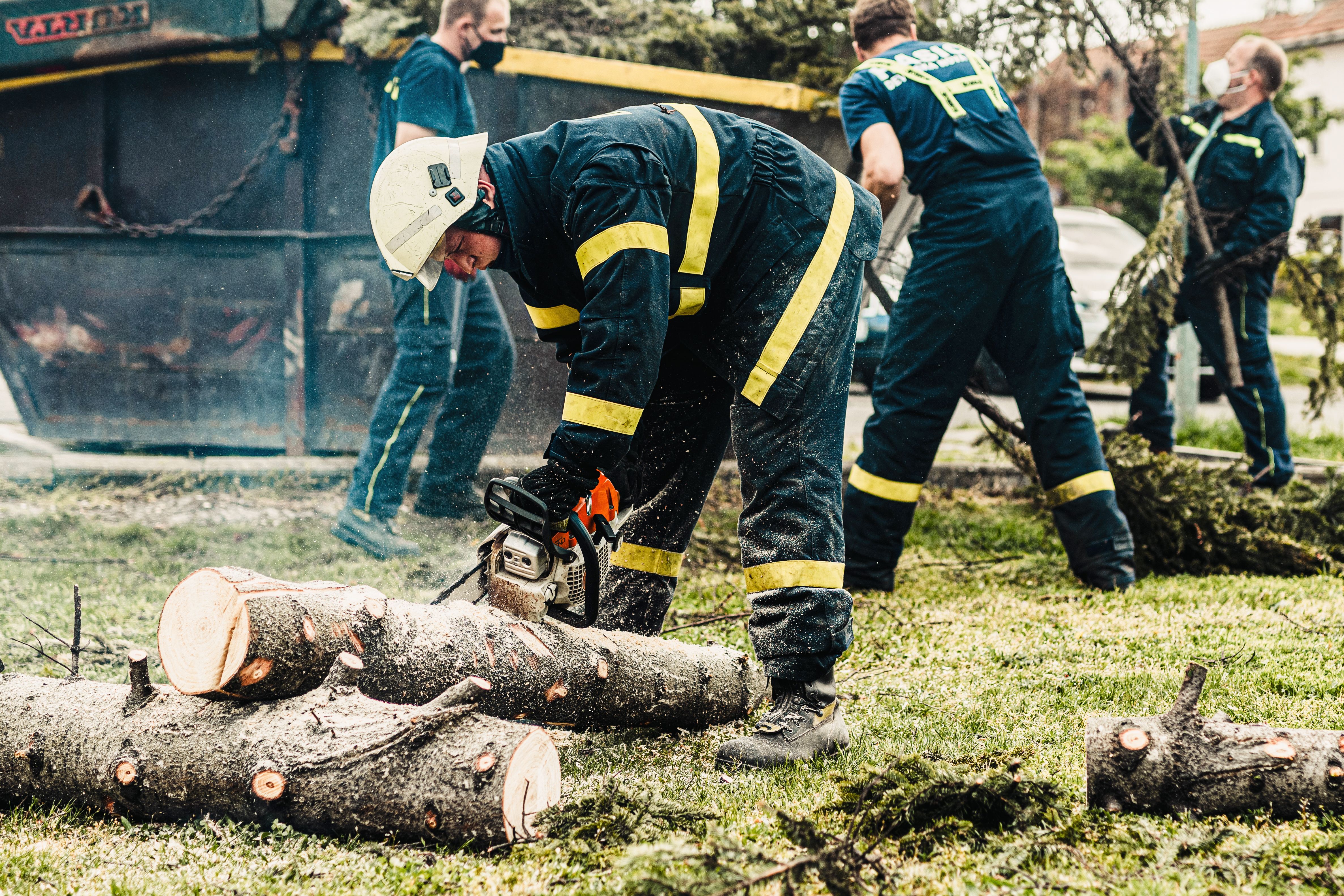 How Professional Tree Care Helps Protect Properties in Mahomet, IL?